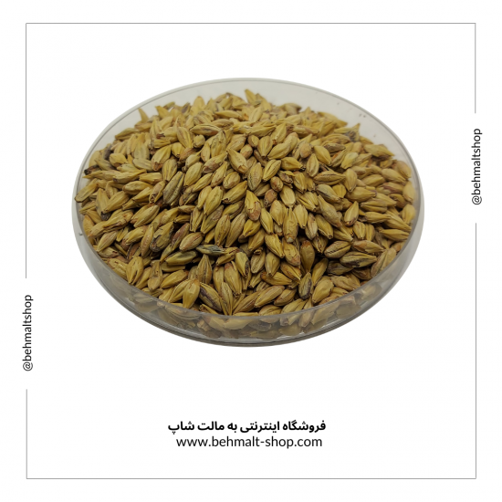 مالت بیسکوئیتی  BehMalt Biscuit سالم (2.5 کیلوگرمی)