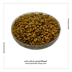 مالت شکلاتی کمرنگ Pale Chocolate سالم (1 کیلوگرمی) مالت شکلاتی کمرنگ Pale Chocolate سالم (1 کیلوگرمی)