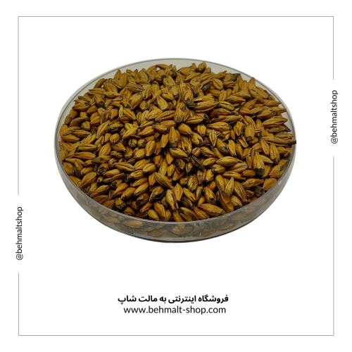 مالت شکلاتی کمرنگ Pale Chocolate سالم (1 کیلوگرمی) مالت شکلاتی کمرنگ Pale Chocolate سالم (1 کیلوگرمی)