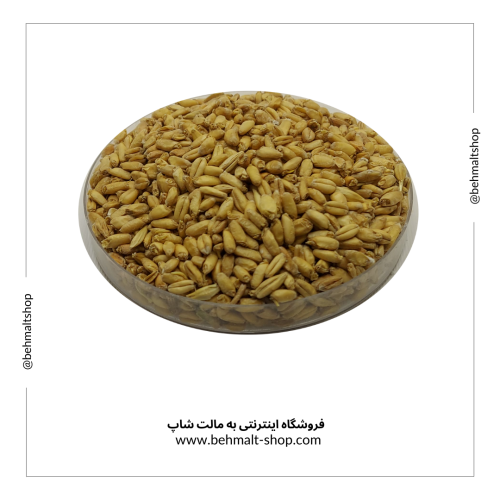 مالت گندم BehWeizen سالم (2.5 کیلوگرمی) مالت گندم BehWeizen سالم (2.5 کیلوگرمی)