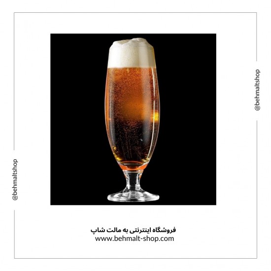 کیت وینا لاگر  Vienna Lager پیشرفته