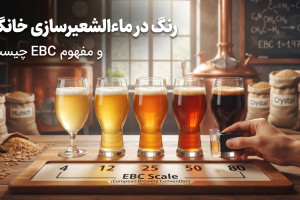 رنگ در ماءالشعیرسازی خانگی و مفهوم EBC چیست؟